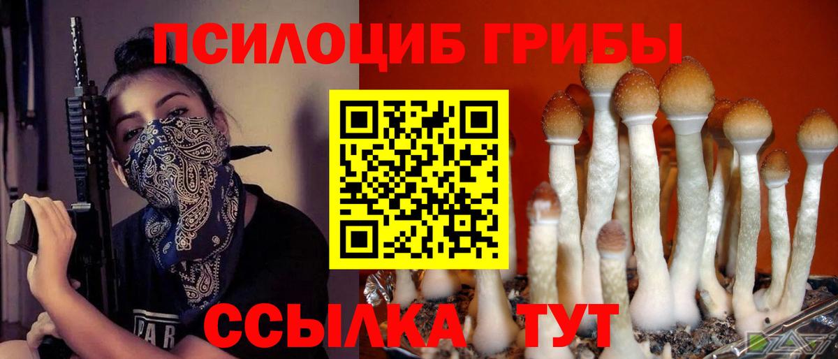 Псилоцибиновые грибы GOLDEN TEACHER Мыски